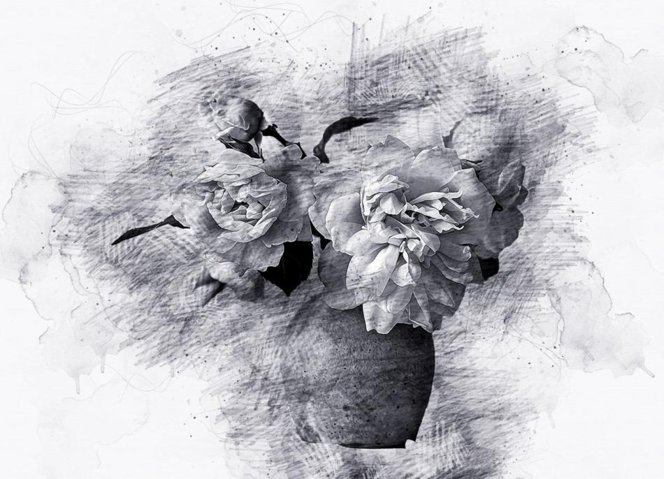 1662563048-d8bccb5974c0d06