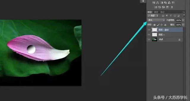 1663161730-6d7ea59ef33e1d5