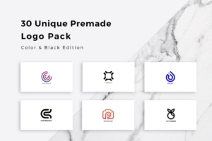 30个预备LOGO设计模板 30 Unique Premade Logos Pack