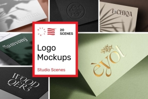 商标压印烫金烫银特殊印刷效果品牌提案样机模板 Logo Mockup Bundle - Paper Print