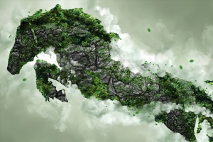 绿草苔藓岩石照片效果PS动作 (atn)
