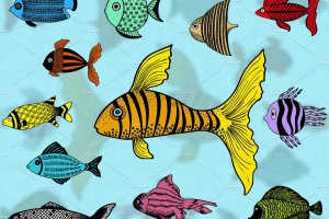 炫彩矢量鱼Illustrated Fish Vector Pack 1 #3346
