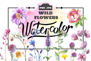 野花手绘水彩合集包免扣PNG超清素材 Wild Flowers watercolor PNG set #932555