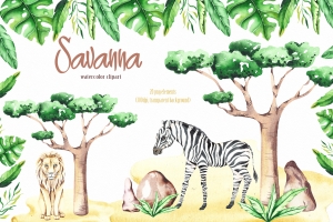 稀有热带动植物剪贴图插画素材合集包 Savanna animal & Tropical clipart