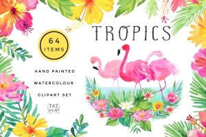 火烈鸟/热带植物水彩素材 Watercolour Clipart Set – Tropics #1495996