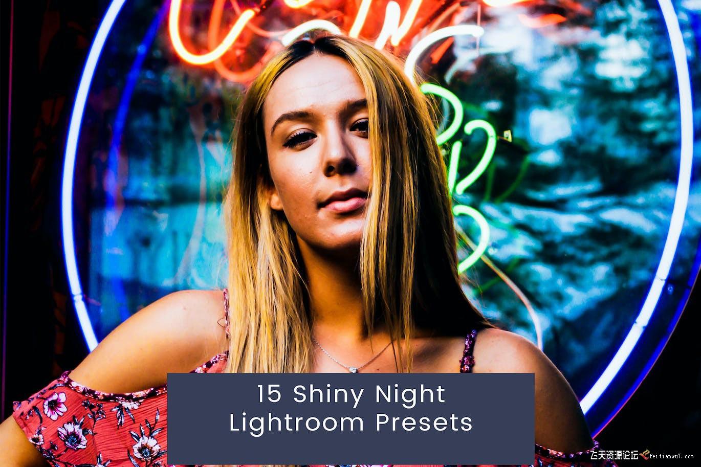 城市夜景风光人像Lightroom预设 15 Shiny Night Lightroom Presets插图