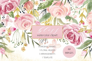 手绘水彩花卉素材 Watercolor clipart. Bliss. Pnik.