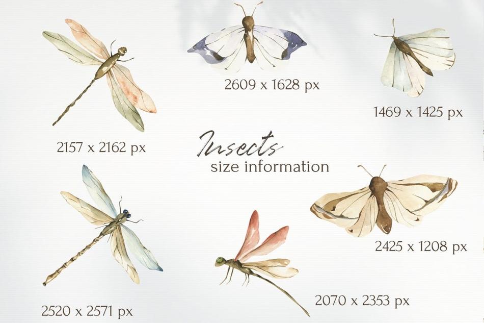 1679970997-40a938c4cfee002