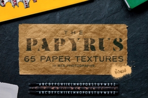 65种超高分辨率纸张撕裂纹理再生纸美纹纸背景素材 The Papyrus - 65 Paper Textures