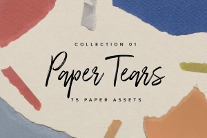 高分辨率珠光纸特种纸撕裂纸张纹理背景素材 Paper Tears 01