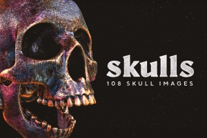 108张超高精度酷炫3D渲染金属质感骷髅头盖骨PNG免抠图 Skulls: 108 Skull Images