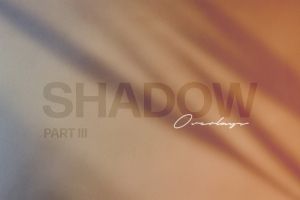 16款高质量神奇的阴影PS叠加效果层素材 Pixelbuddha -Shadow Play Photo Overlays
