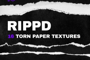 16张高分辨率真实复古做旧撕纸效果纹理素材 RIPPD / Hi-Res Torn Paper Texture Pack