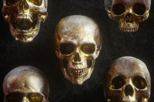 高质量头骨骷髅头C4D模型素材 Billelis – 3D Skull Models Predators Pack