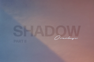 高质量潮流树叶百叶窗植物阳光阴影设计辅助装饰素材 Shadow Photo Overlays Vol.2