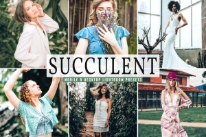 唯美主义暗黄色调照片后期Lightroom预设 Succulent Mobile &