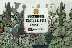 80种仙人掌多肉植物和花盆Procreate Brushes笔刷大集合