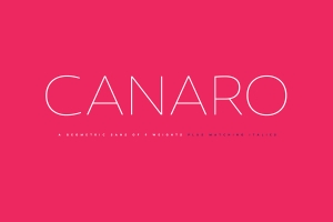 现代独特的英文字体 Canaro Free Demo Font