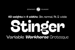 现代大胆怪诞海报杂志排版主流无衬线字体 Zetafonts - Stinger Font Family