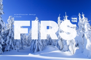 北欧极简风无衬线英文字体家族 TypeType - TT Firs Font Family