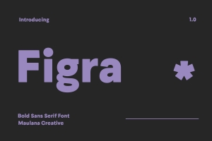极简主义现代大胆创意品牌设计海报排版英文无衬线字体 Figra Sans Serif Font