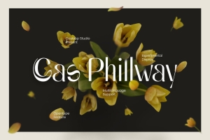潮流极简主义女性婚礼服装品牌邀请函杂志排版英文字体 Cas Phillway Display Typeface