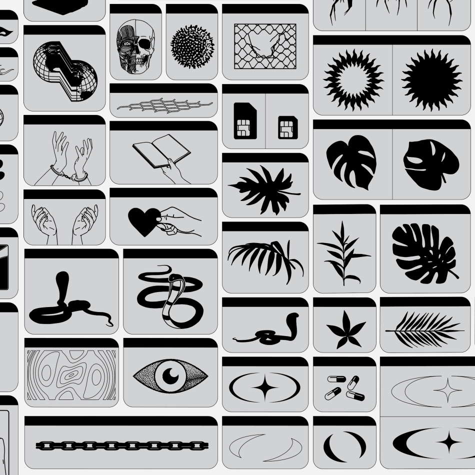 1686287317-e6870d139fd2a58