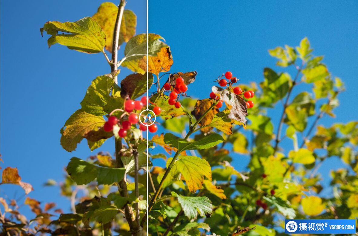 反乌托邦蒸汽波城市LR预设GxAce - "Sodium Vaporwave" Lightroom Preset Lightroom预设,效果图8 反乌托邦蒸汽波城市LR预设GxAce - "Sodium Vaporwave" Lightroom Preset Lightroom预设,效果图8