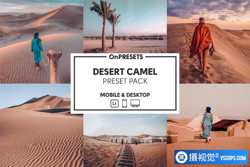 旅拍沙漠风光摄影后期调色Lightroom预设 OnPresets-DESERT CAMEL
