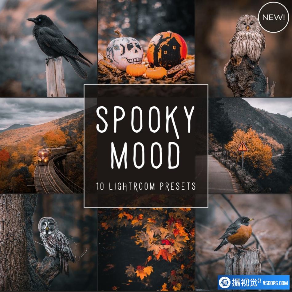 魔幻电影风光摄影后期调色Lightroom预设Spooky Mood LIMITED Presets