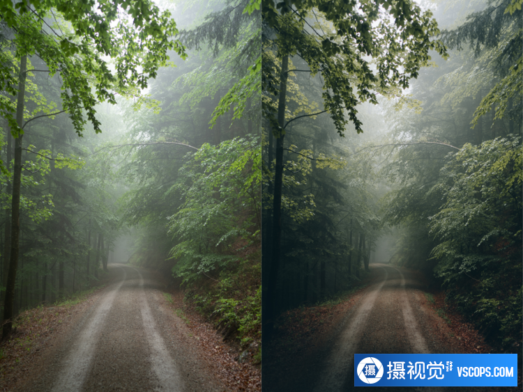 1688971360-cc7d752c4ffbd2b