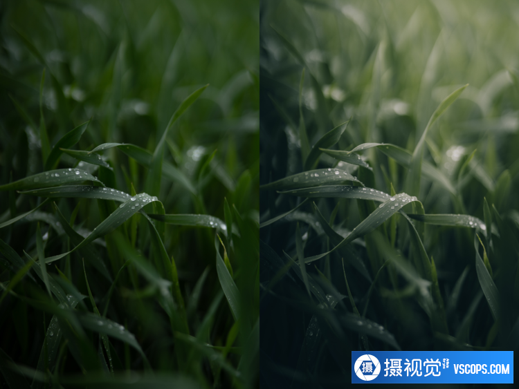 1688971361-301fa820fcdae5b