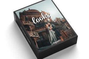 Moody Presets - 婚礼外观预设 Wedding Looks Presets