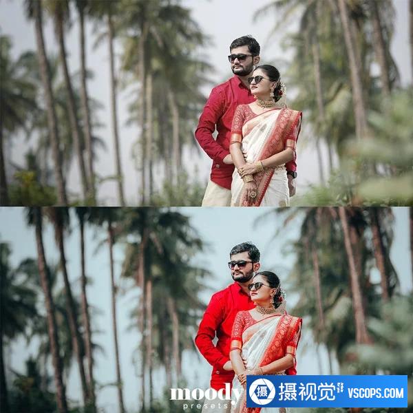 Moody Presets - 婚礼外观预设 Wedding Looks Presets插图1