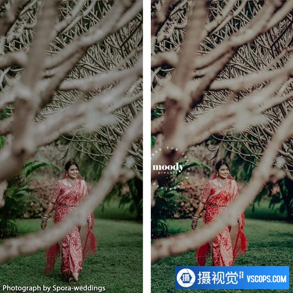 Moody Presets - 婚礼外观预设 Wedding Looks Presets插图3