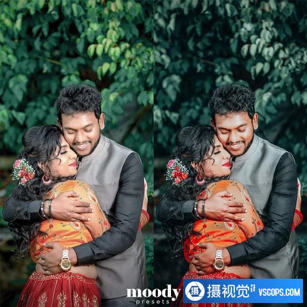 Moody Presets - 婚礼外观预设 Wedding Looks Presets插图6