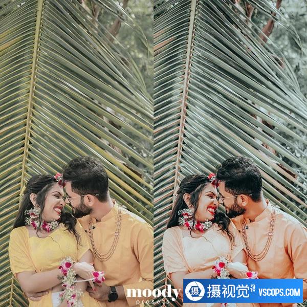 Moody Presets - 婚礼外观预设 Wedding Looks Presets插图12