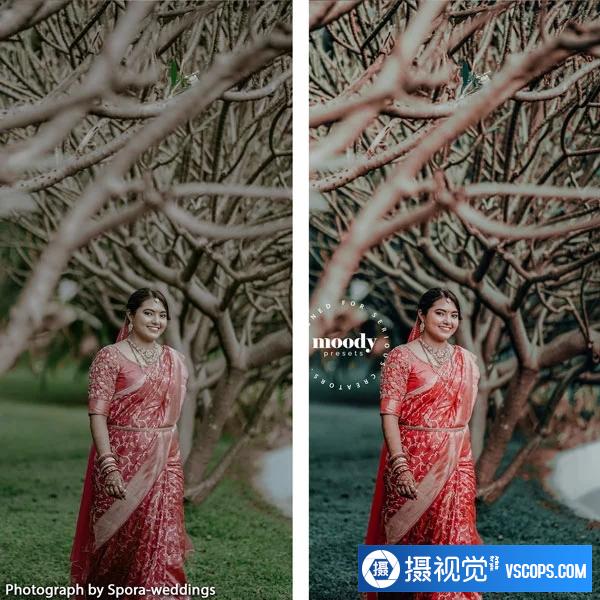 Moody Presets - 婚礼外观预设 Wedding Looks Presets插图13