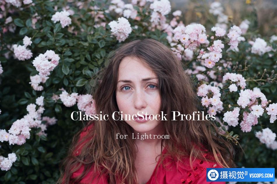 The Classic Presets 经典胶卷Lightroom配置文件 Classic CineStock Profiles