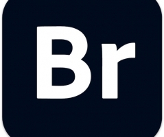 Adobe Bridge 2020 for mac(图片管理软件)v10.0.2.131最新版