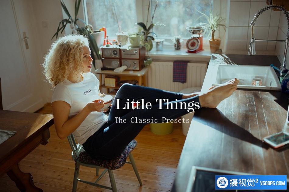 The Classic Presets 专业胶卷调色预设和配置文件包 Little Things Presets