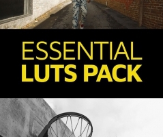 电影大师基本电影人像调色LUT预设 Master Filmmaker - Essential LUTs Pack