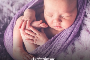 PROEDU-Stephanie Cotta新生儿包裹摆姿构图布光摄影教程-中文字幕