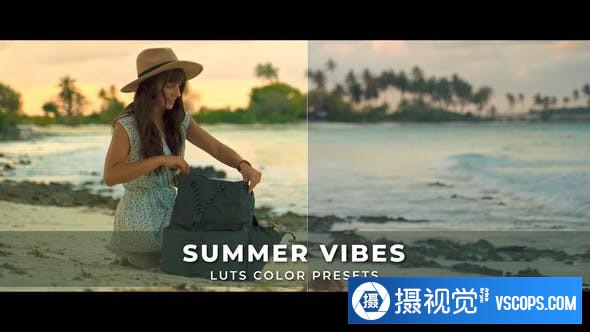 夏日风情电影视频MV后期调色LUT预设 Summer Vibes Luts