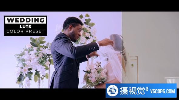 12个复古电影婚礼后期剪辑调色LUT预设 Wedding LUTs
