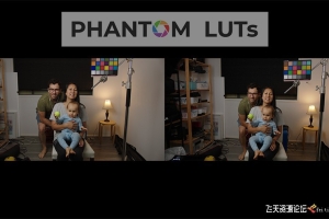 Joel Famularo - Phantom Luts Canon LUT 佳能S-log2,log3转阿莱色彩LUT预设