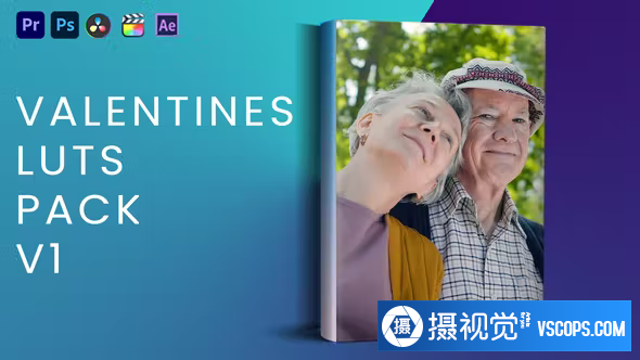 10个情人节电影视频MV调色LUT预设 Valentine's Luts Pack V1