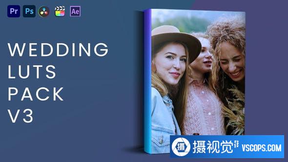 20个婚礼跟拍MV视频电影剪辑调色LUT预设第三季  Wedding Luts V3