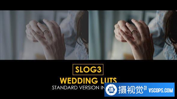 142个索尼SLOG3电影艺术婚礼视频LUT调色预设 支持/FCPX/PR/PS