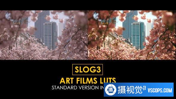 索尼SLOG3艺术视频电影风格调色LUT预设 支持/FCPX/PR/达芬奇/PS